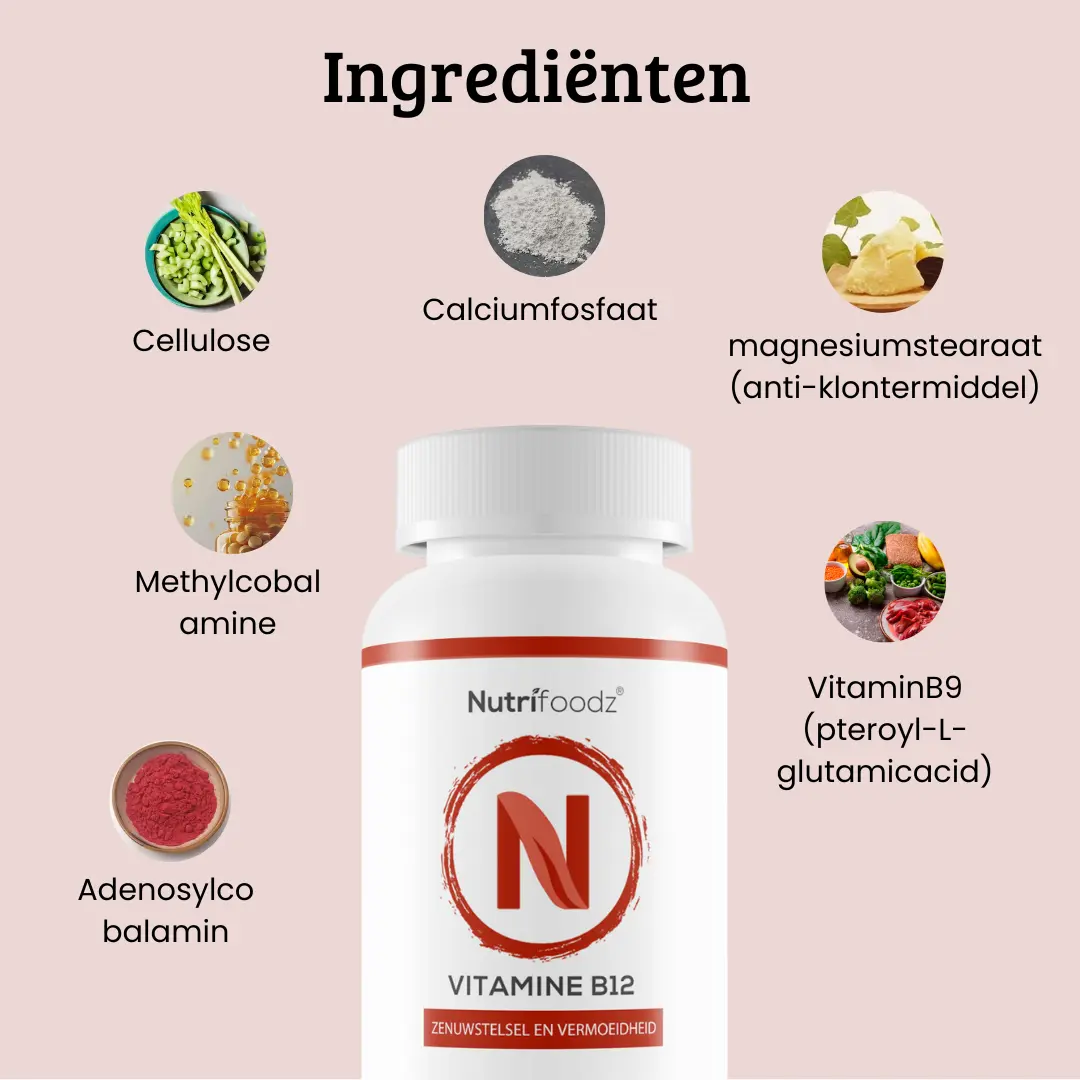 Nutrifoodz Vitamine B12 - Hoogwaardige productfoto 4